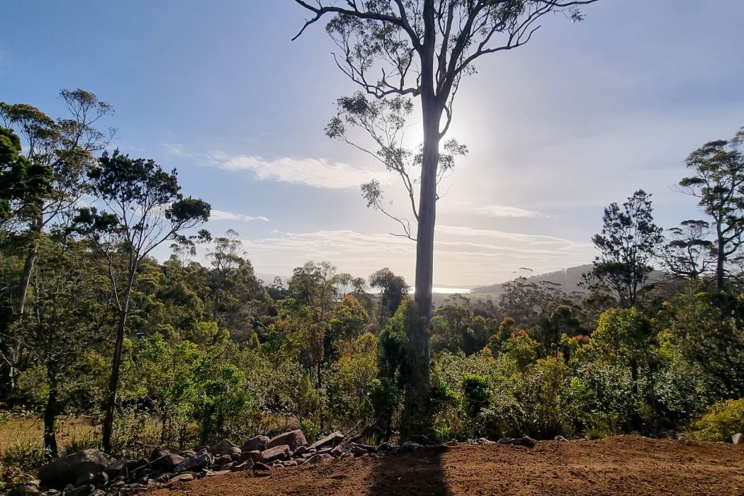 39 Reef View Road, Murdunna, TAS, 7178