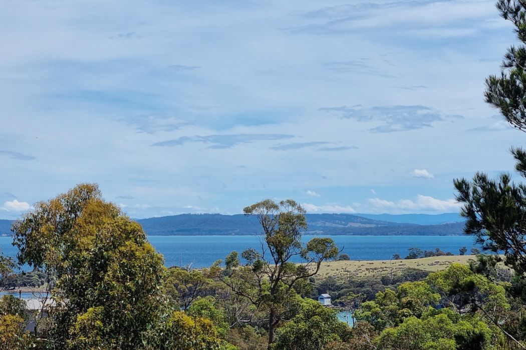 39 Reef View Road, Murdunna, TAS, 7178