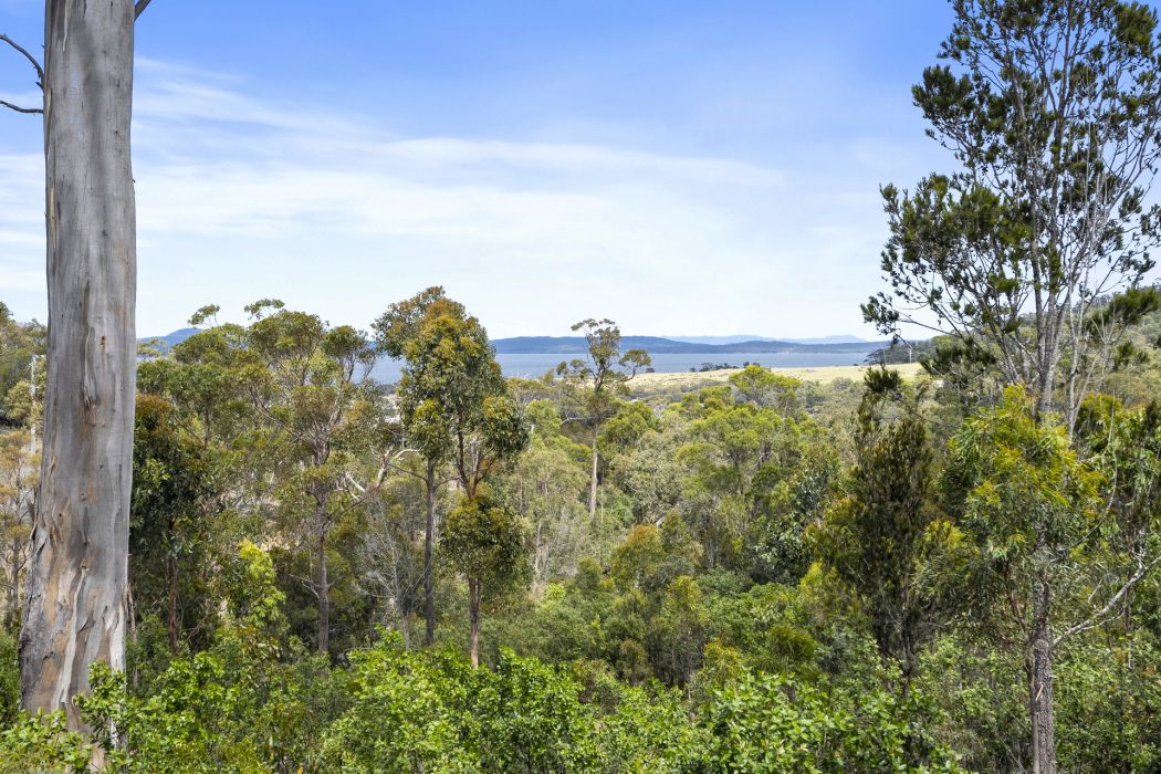 39 Reef View Road, Murdunna, TAS, 7178