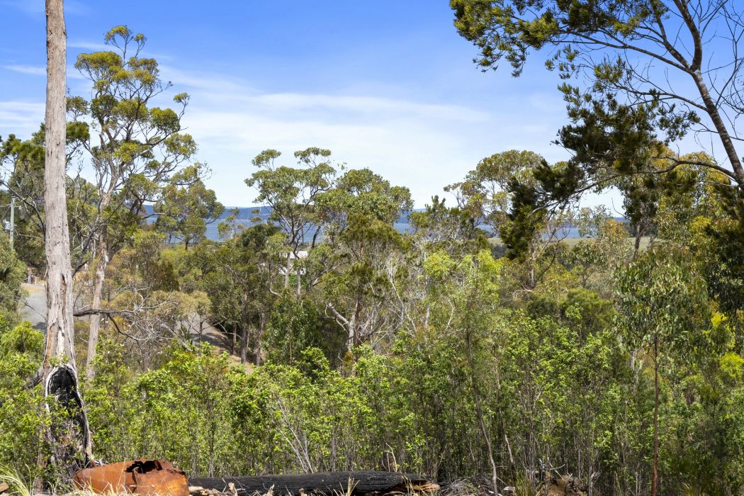 39 Reef View Road, Murdunna, TAS, 7178
