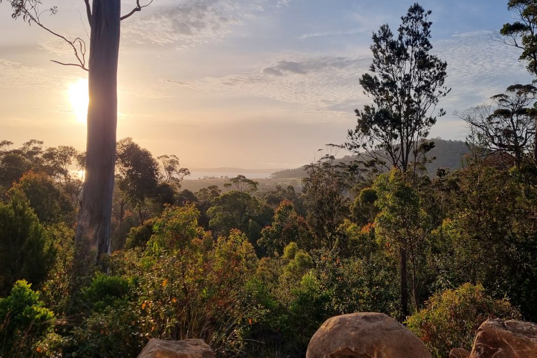 39 Reef View Road, Murdunna, TAS, 7178