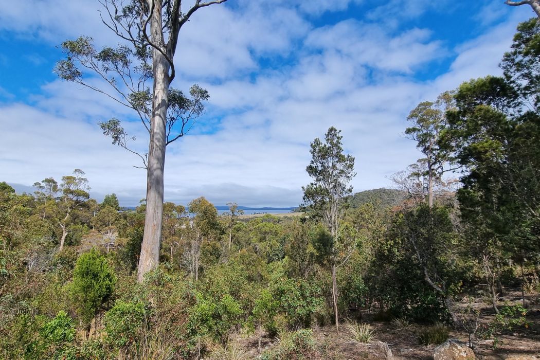 39 Reef View Road, Murdunna, TAS, 7178