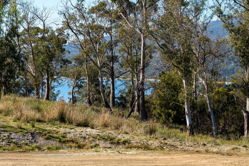 29 Lily Street, White Beach, TAS, 7184