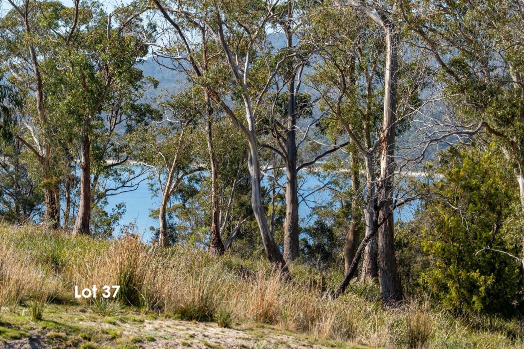 29 Lily Street, White Beach, TAS, 7184