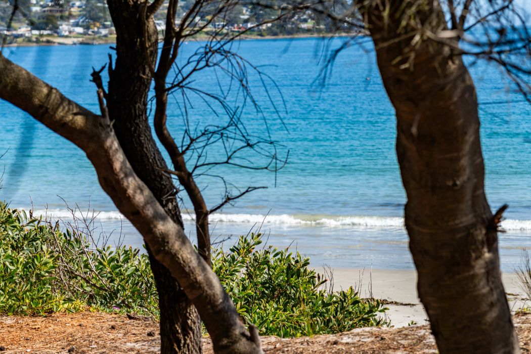 29 Lily Street, White Beach, TAS, 7184