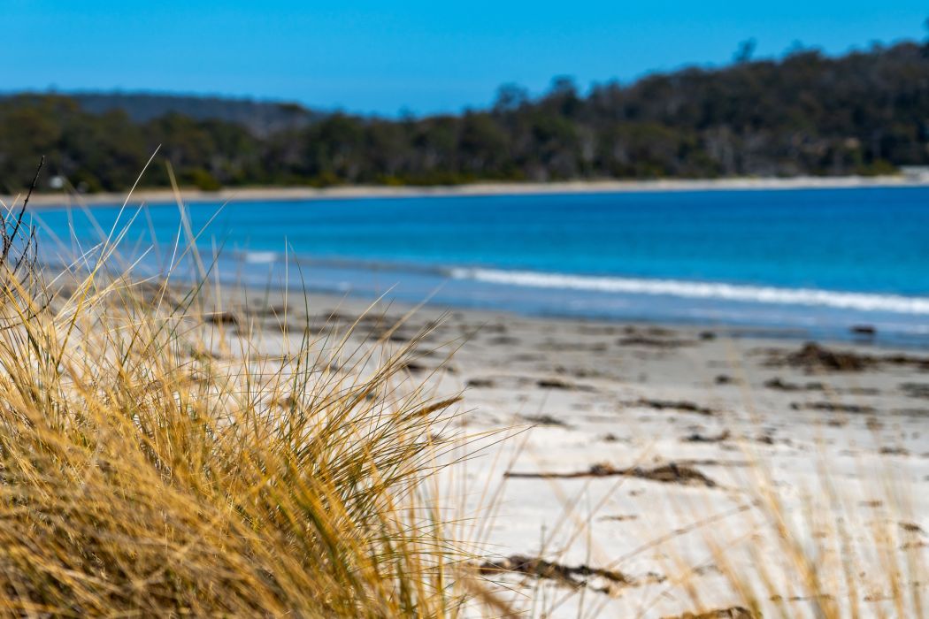 29 Lily Street, White Beach, TAS, 7184