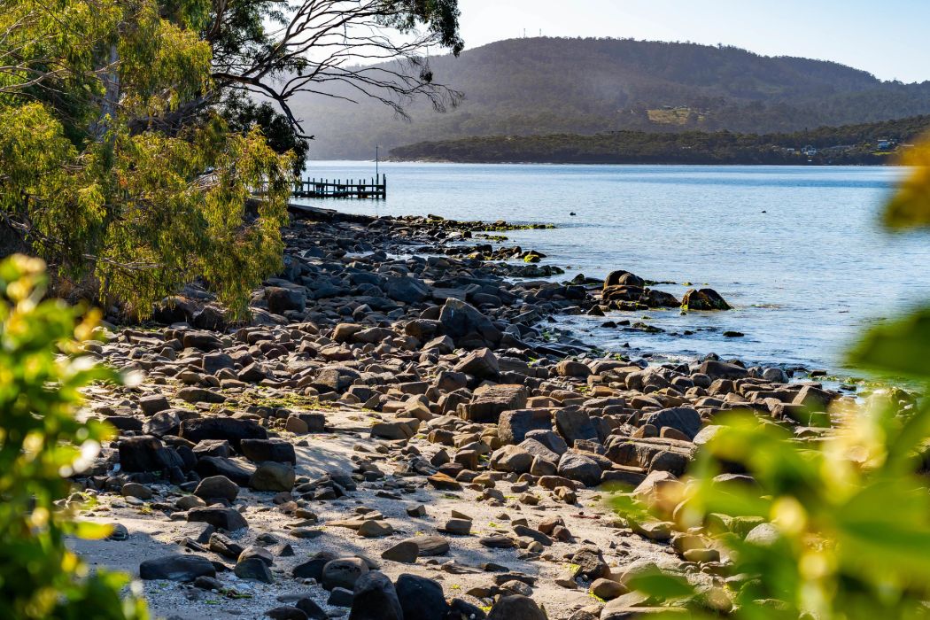 29 Lily Street, White Beach, TAS, 7184
