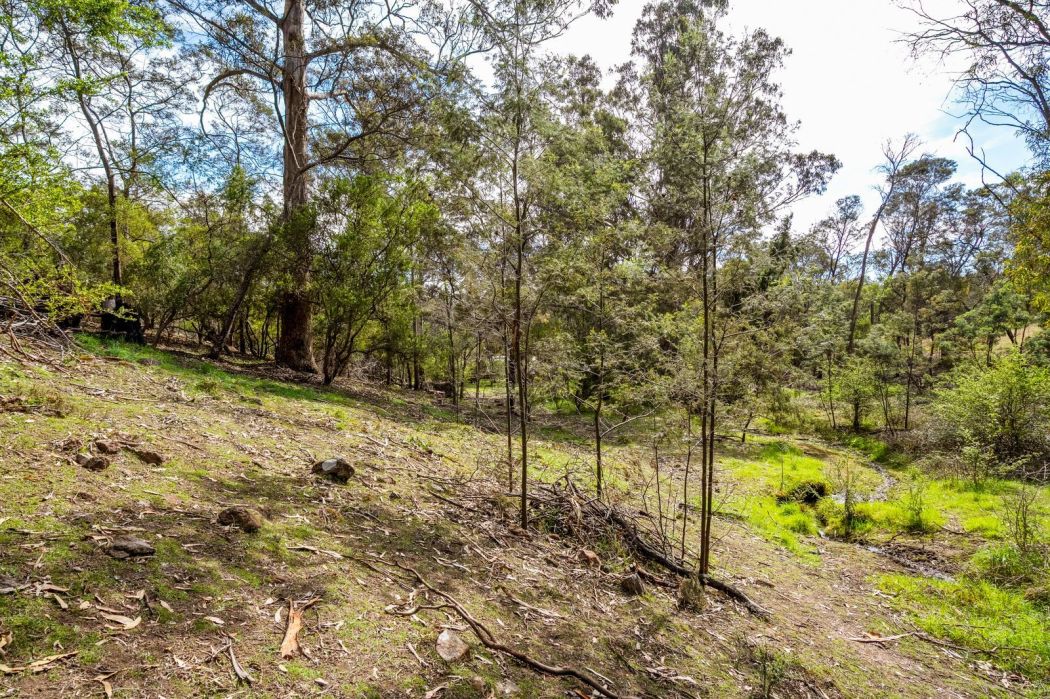 607 Delmore Road, Wattle Hill, TAS, 7172