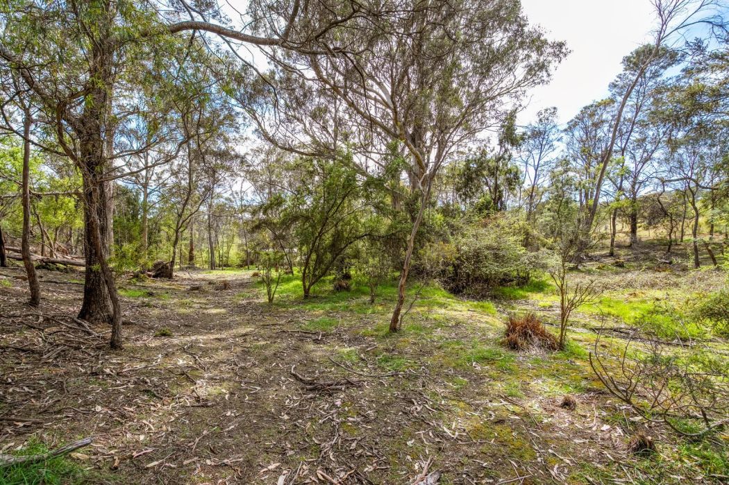 607 Delmore Road, Wattle Hill, TAS, 7172