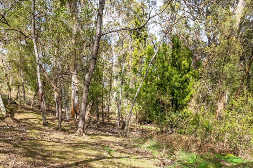607 Delmore Road, Wattle Hill, TAS, 7172