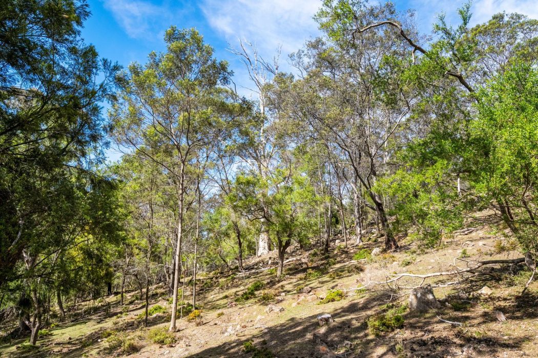 607 Delmore Road, Wattle Hill, TAS, 7172