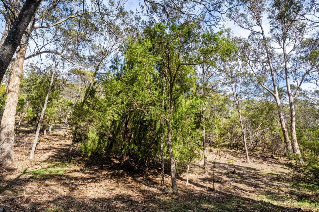 607 Delmore Road, Wattle Hill, TAS, 7172