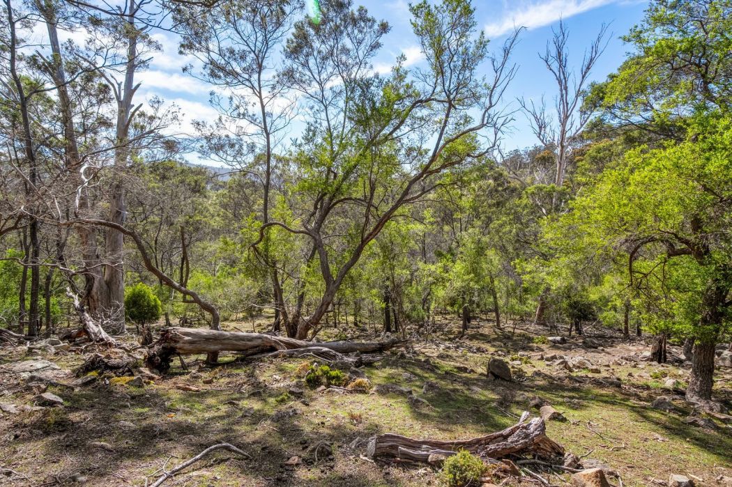 607 Delmore Road, Wattle Hill, TAS, 7172