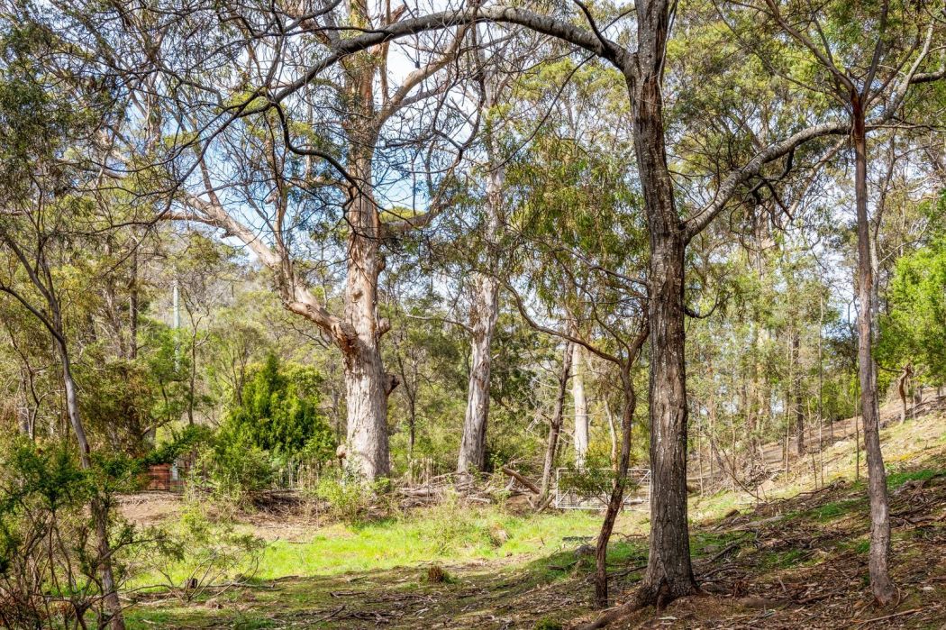 607 Delmore Road, Wattle Hill, TAS, 7172