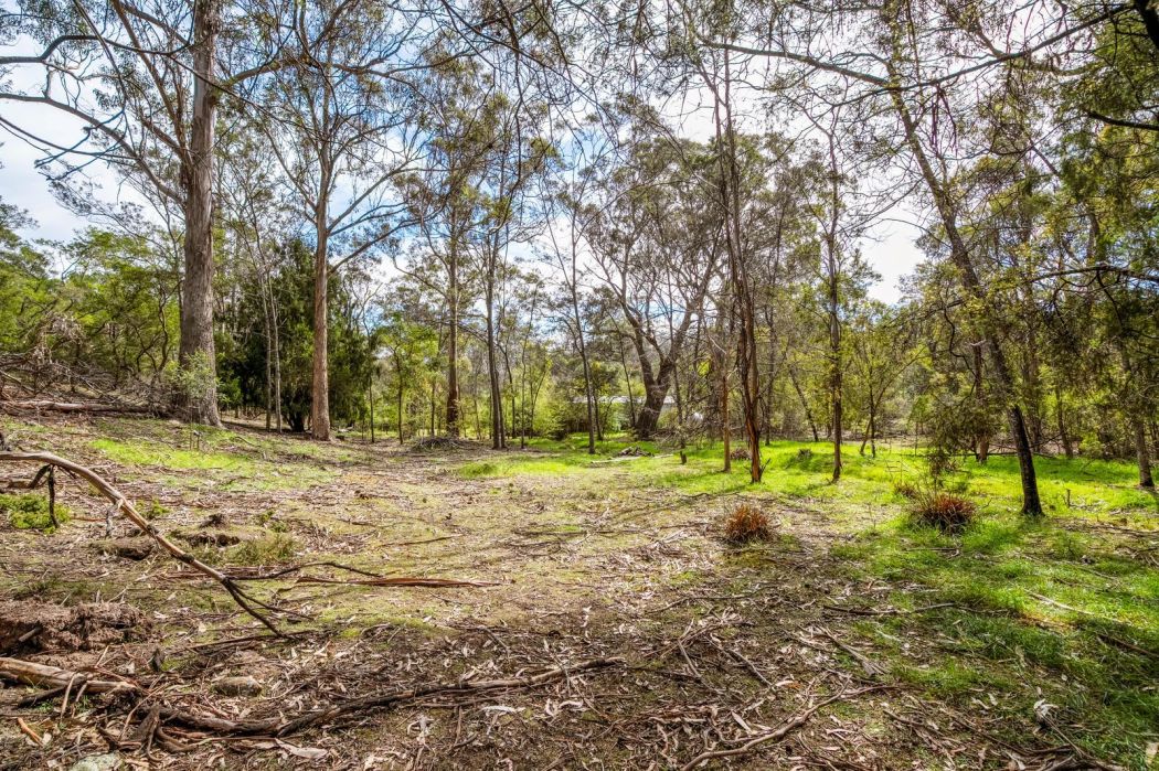 607 Delmore Road, Wattle Hill, TAS, 7172