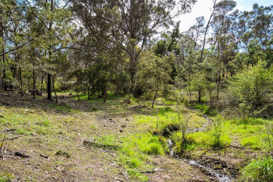 607 Delmore Road, Wattle Hill, TAS, 7172