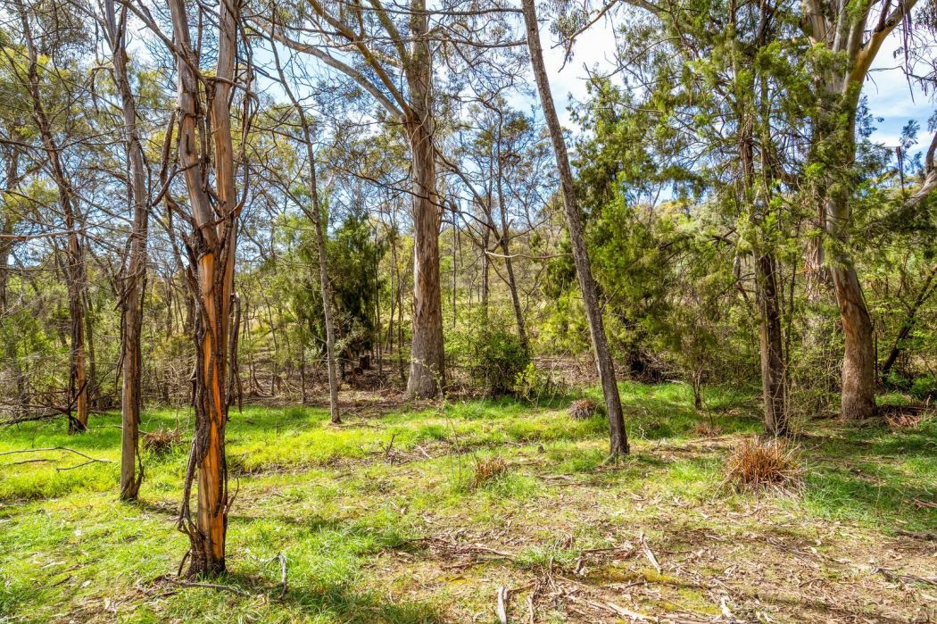 607 Delmore Road, Wattle Hill, TAS, 7172