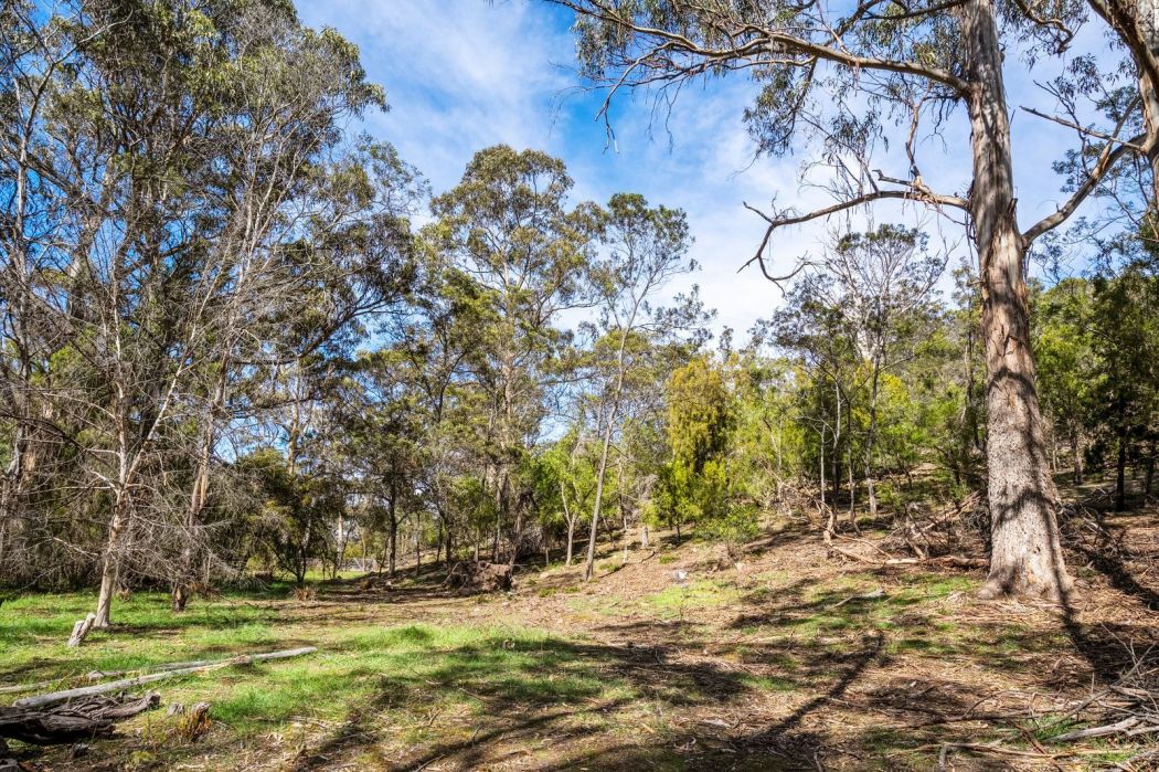607 Delmore Road, Wattle Hill, TAS, 7172