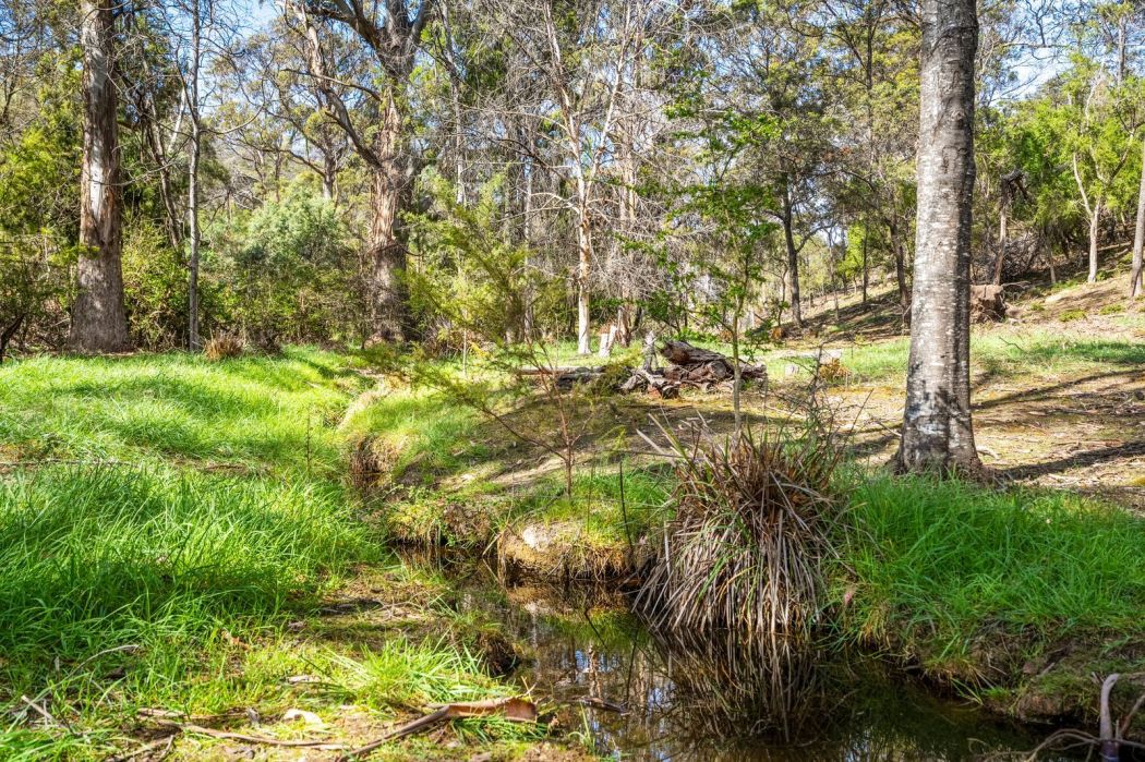 607 Delmore Road, Wattle Hill, TAS, 7172