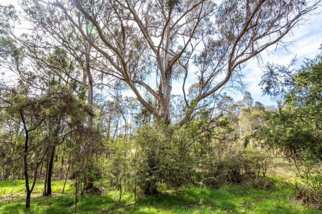 607 Delmore Road, Wattle Hill, TAS, 7172