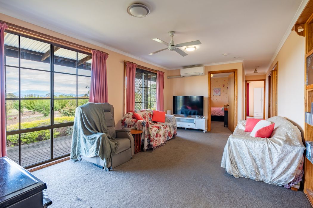 587 Arthur Highway, Forcett, TAS, 7173