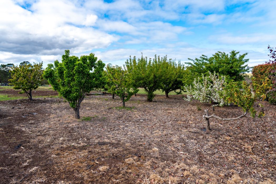 587 Arthur Highway, Forcett, TAS, 7173
