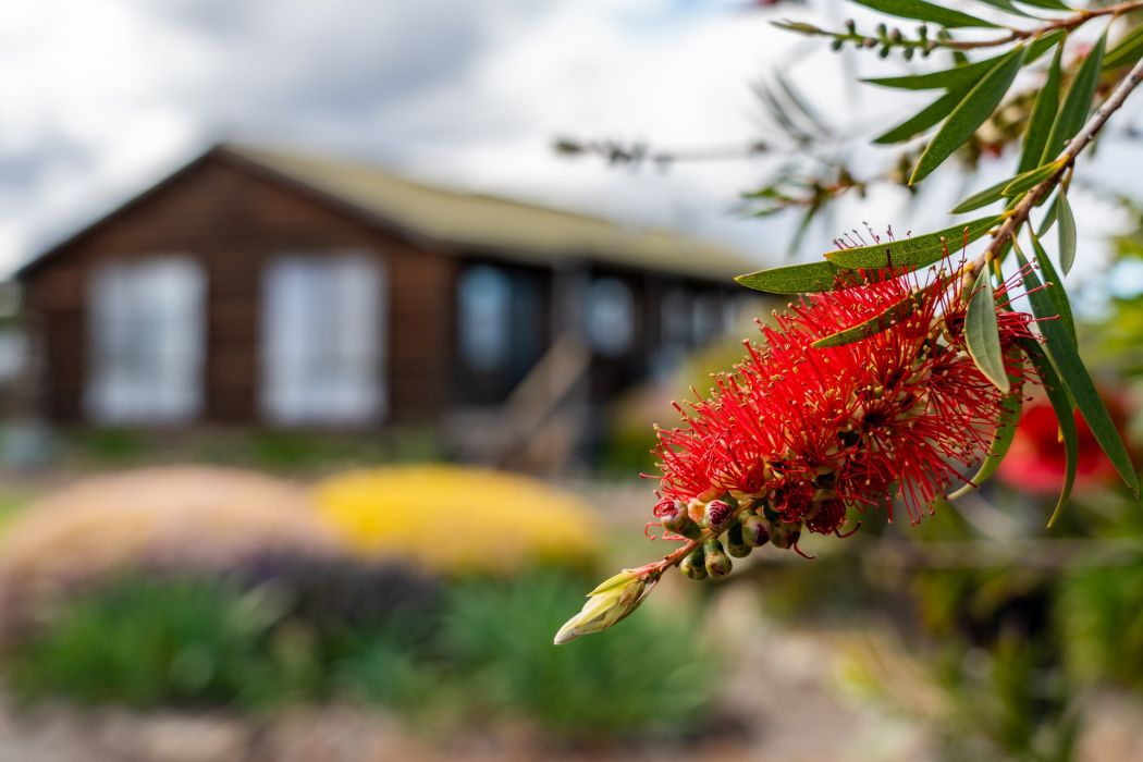 587 Arthur Highway, Forcett, TAS, 7173