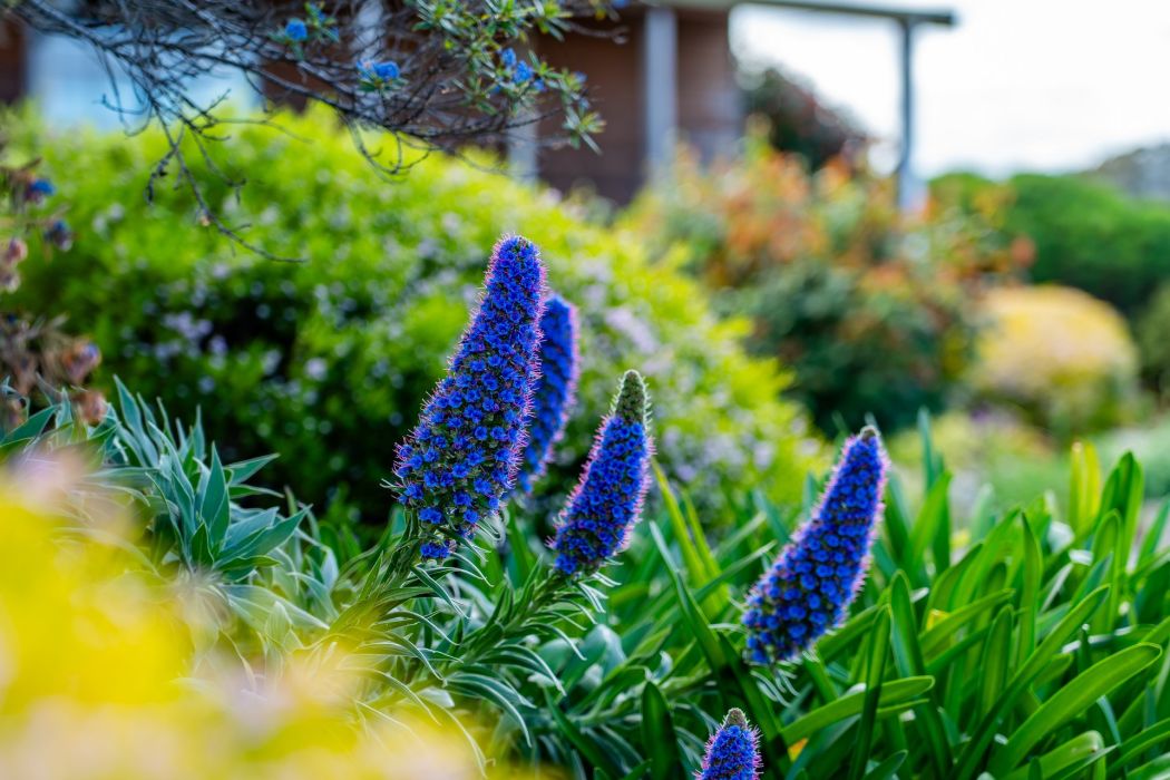 587 Arthur Highway, Forcett, TAS, 7173