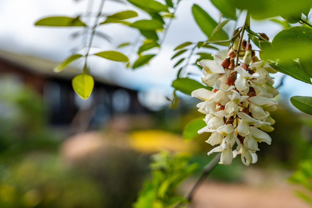 587 Arthur Highway, Forcett, TAS, 7173